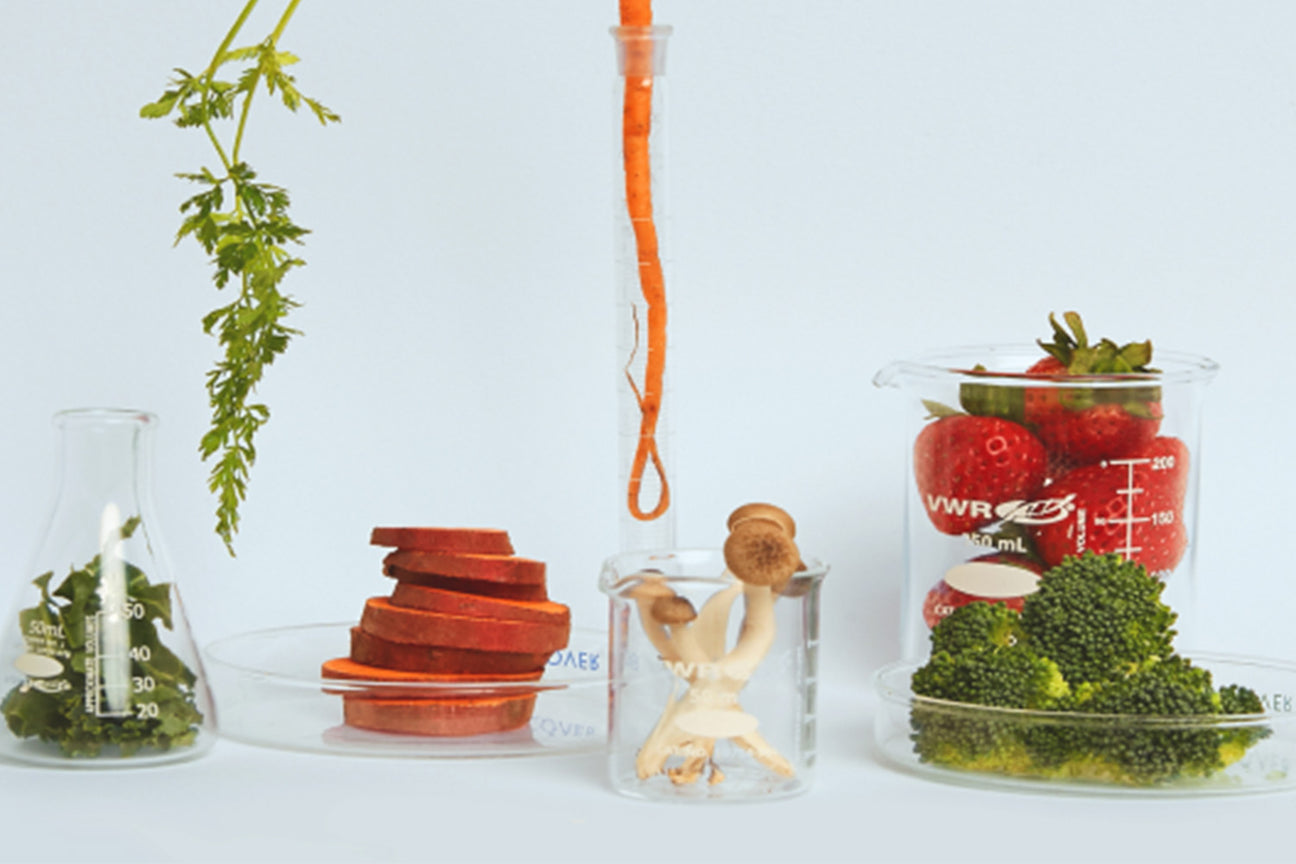 Prenatal Nutrition from Real Food